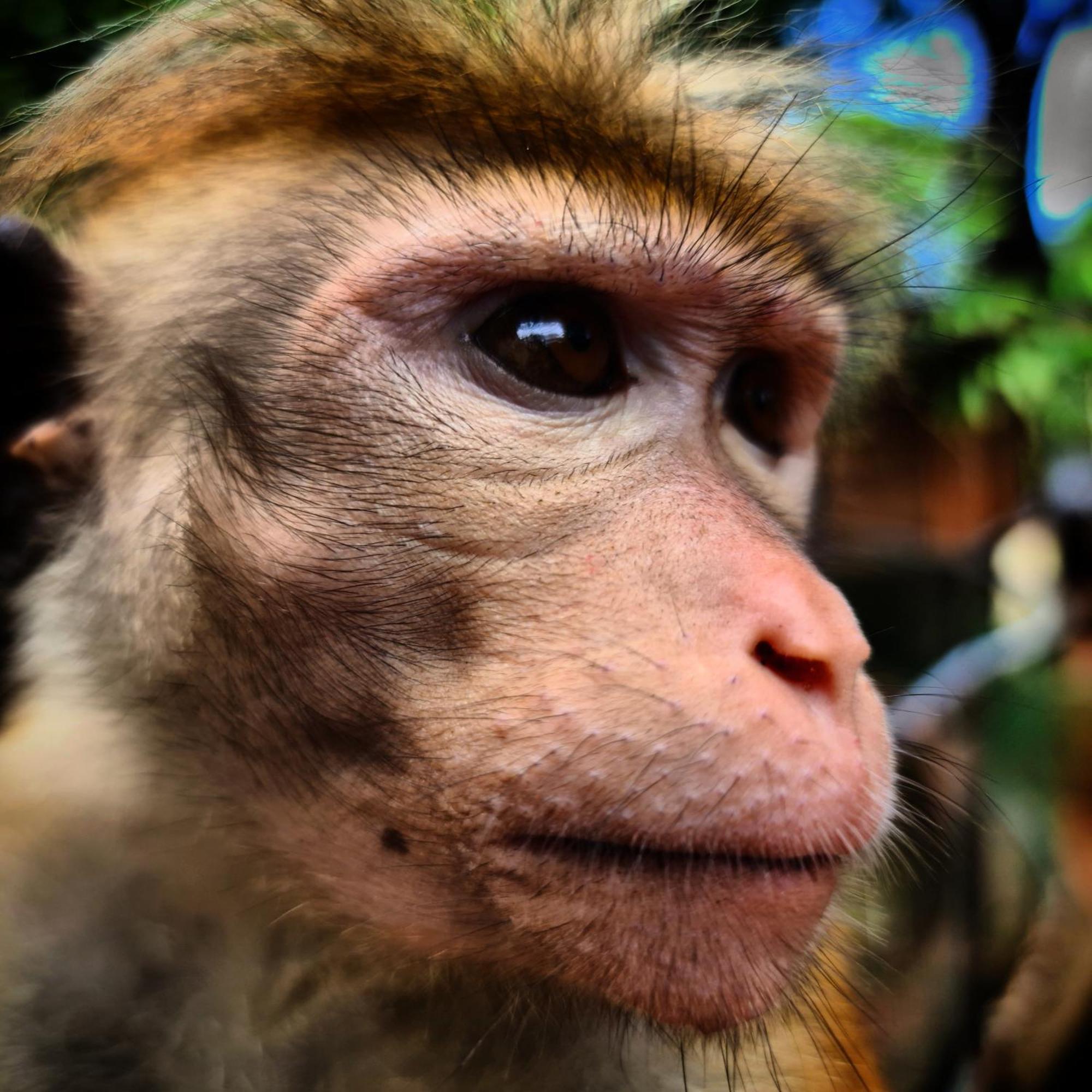 Humbhaha Jungle Yala Nature Eco Resort Kataragama Eksteriør bilde