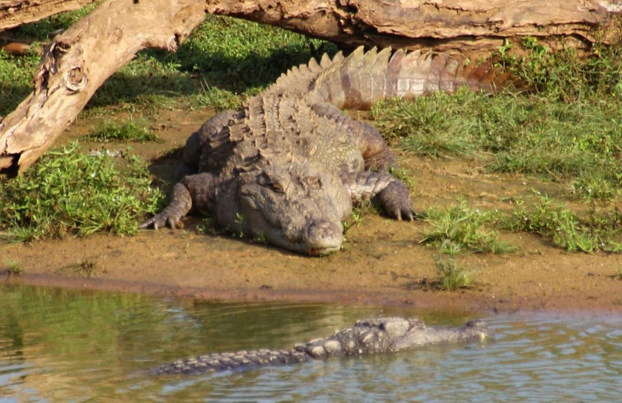 Humbhaha Jungle Yala Nature Eco Resort Kataragama Eksteriør bilde