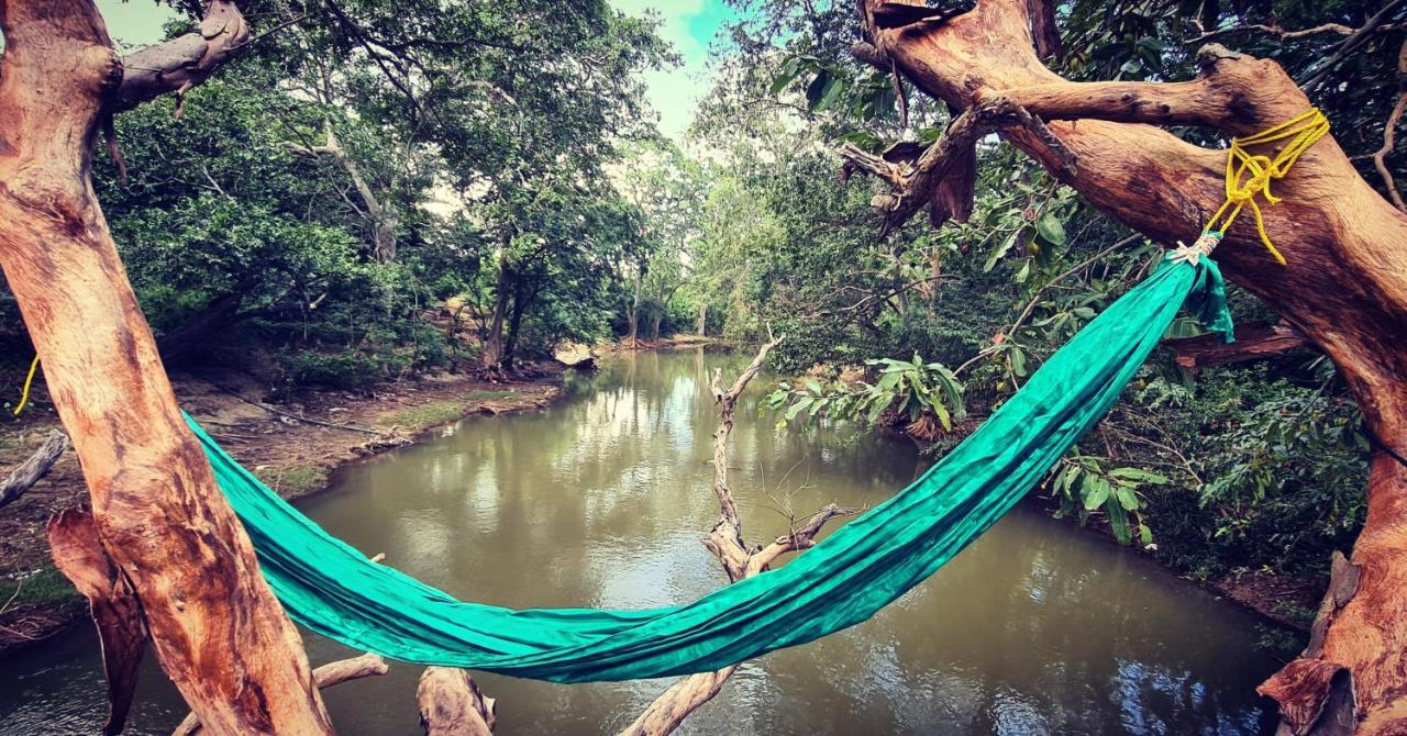 Humbhaha Jungle Yala Nature Eco Resort Kataragama Eksteriør bilde