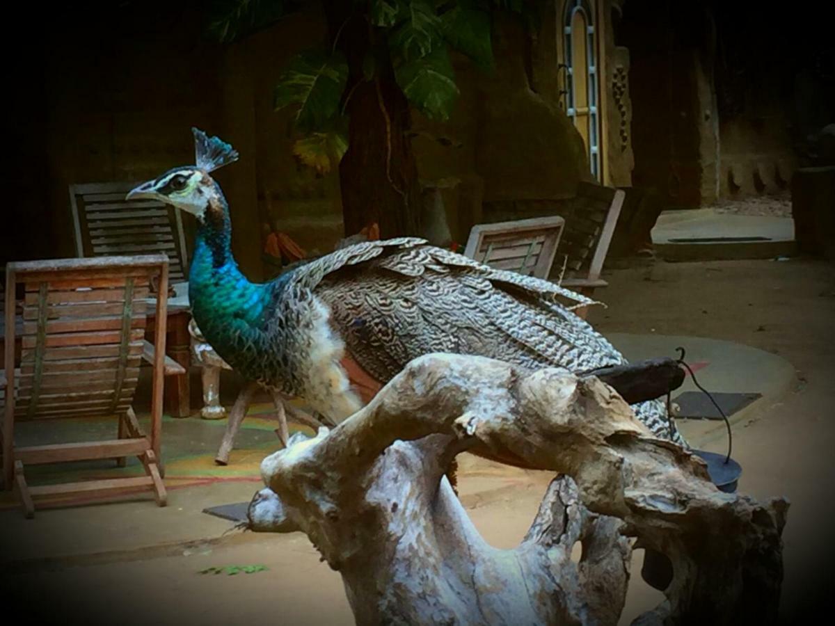 Humbhaha Jungle Yala Nature Eco Resort Kataragama Eksteriør bilde